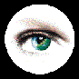 Eye 4