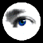 Eye 6