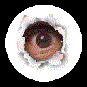 Eye 7
